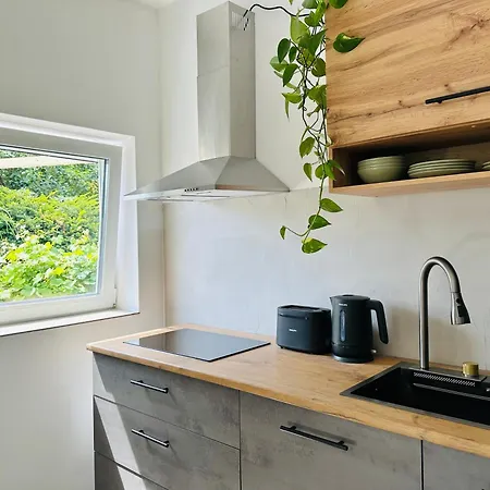 Modern Und Stilvoll Eingerichtetes Tiny House Vakantiehuis