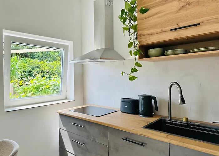 Modern Und Stilvoll Eingerichtetes Tiny House Vakantiehuis